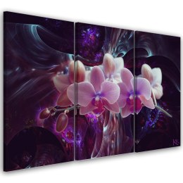 Obraz 3 częściowy na płótnie, Biała orchidea na ciemnym tle