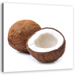Obraz na płótnie, Owoce kokos