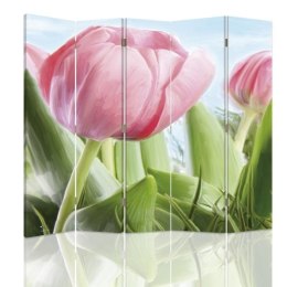 Parawan dwustronny, Dorodny różowy tulipan