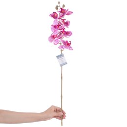 Sztuczny kwiat FALENI kolor fioletowy styl nowoczesny ameliahome - ARTFLOWER/AH/FALENI/PLUM/1PC