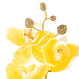 Sztuczny kwiat FALENI kolor żółty styl nowoczesny ameliahome - ARTFLOWER/AH/FALENI/HONEY/1PC