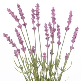 Sztuczny kwiat LAVI kolor fioletowy styl boho ameliahome - ARTFLOWER/AH/LAVI/18/1PC